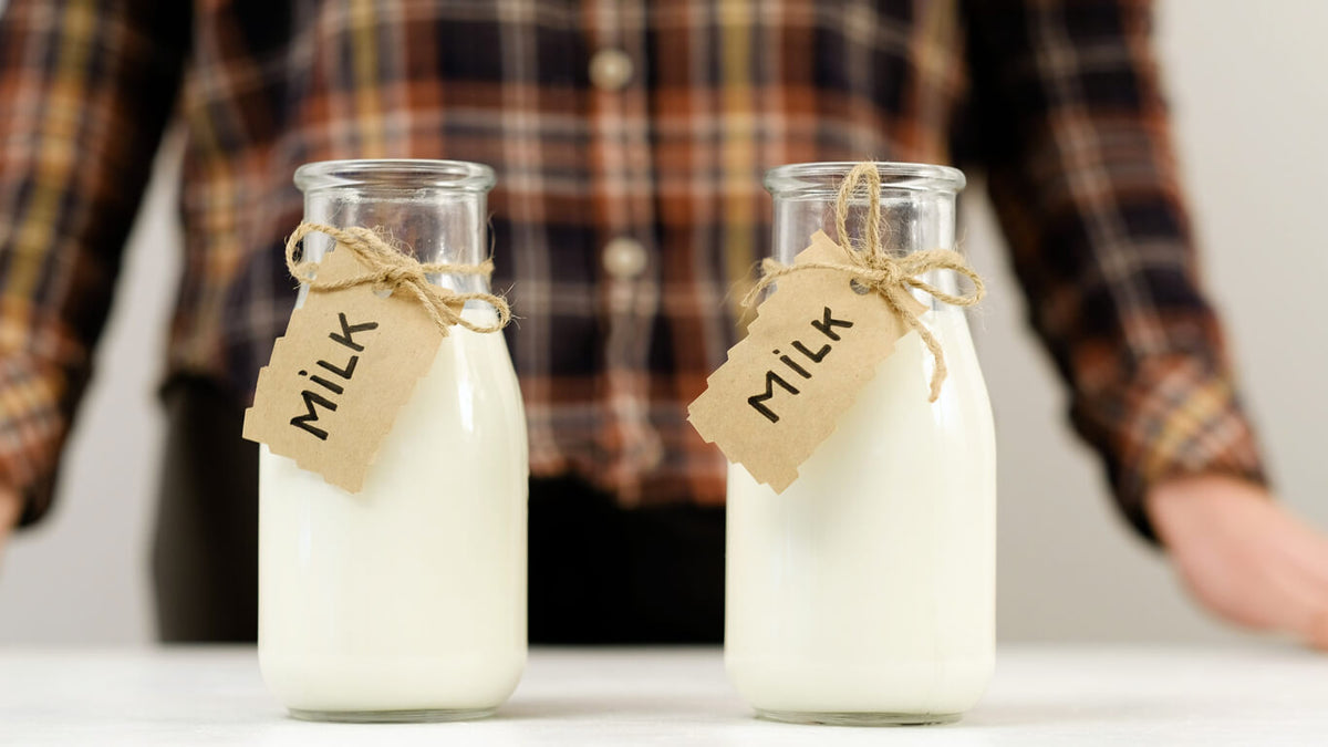 Unhomogenised Milk vs Homogenised Milk: What's the Difference in Content?