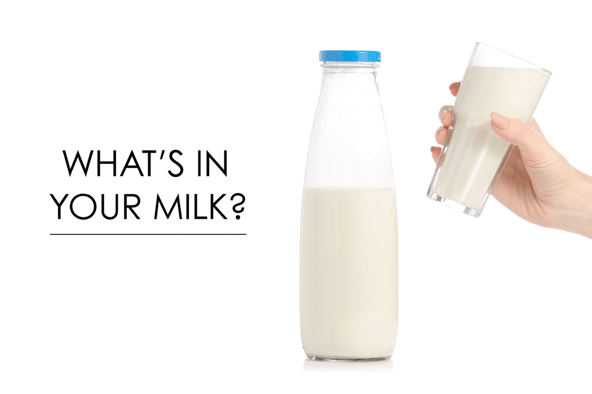 What's In Your Milk - Composition, Nutrients & More