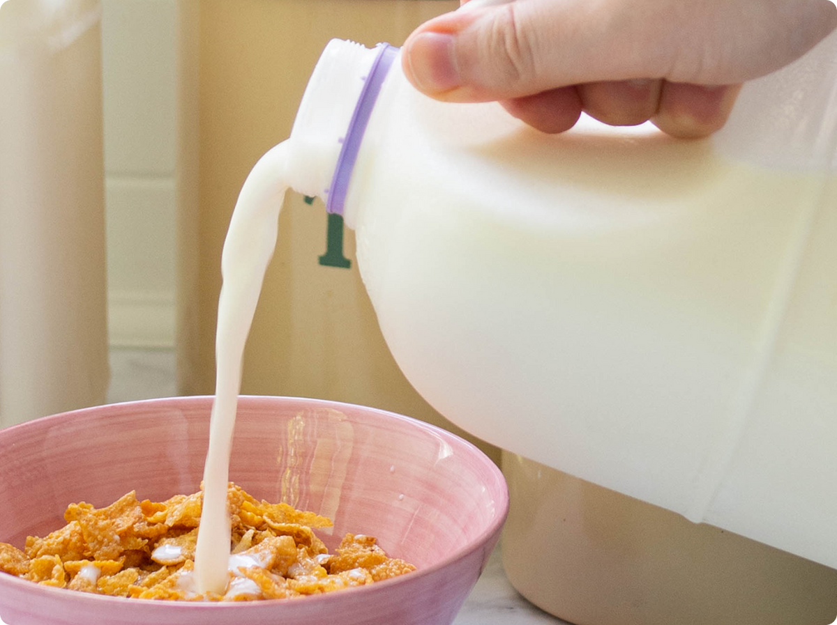 Little Big Dairy Lactose Free Milk 2L being poured into cereal.