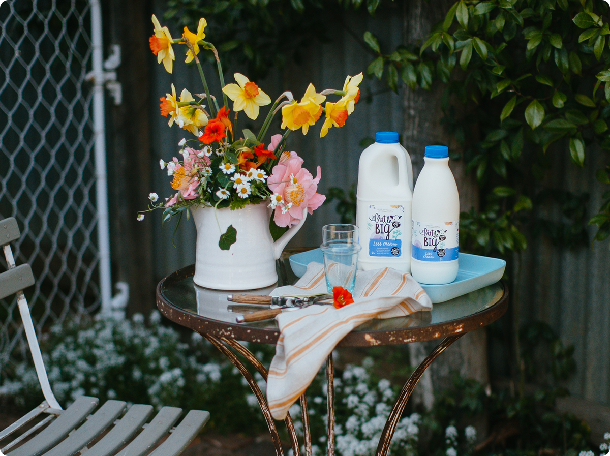 Little Big Dairy Less Cream Milk in 1L and 2L bottle outside on a small patio table.
