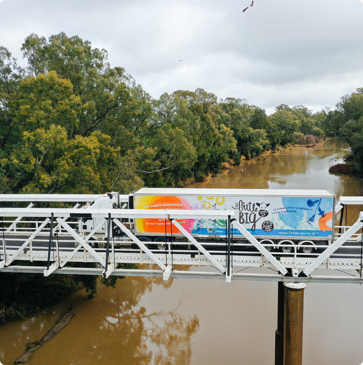 A white utility truck carrying water is crossing a white metal bridge over a muddy river, with dense green trees on both banks under an overcast sky. The truck has colourful graphics and the text 'The Little Big Dairy Co.'