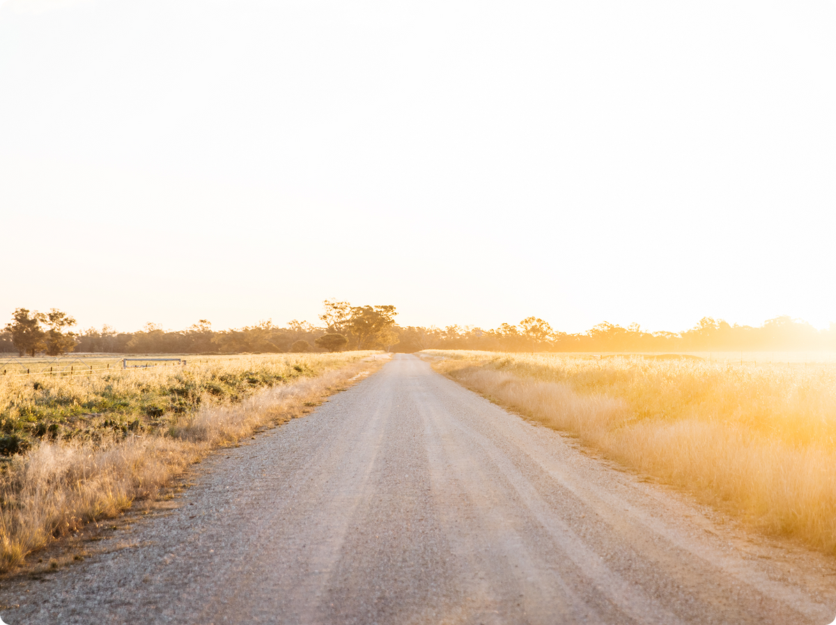 A straight gravel road stretches through golden grass fields at sunset, with trees on the horizon and bright warm light filling the sky.