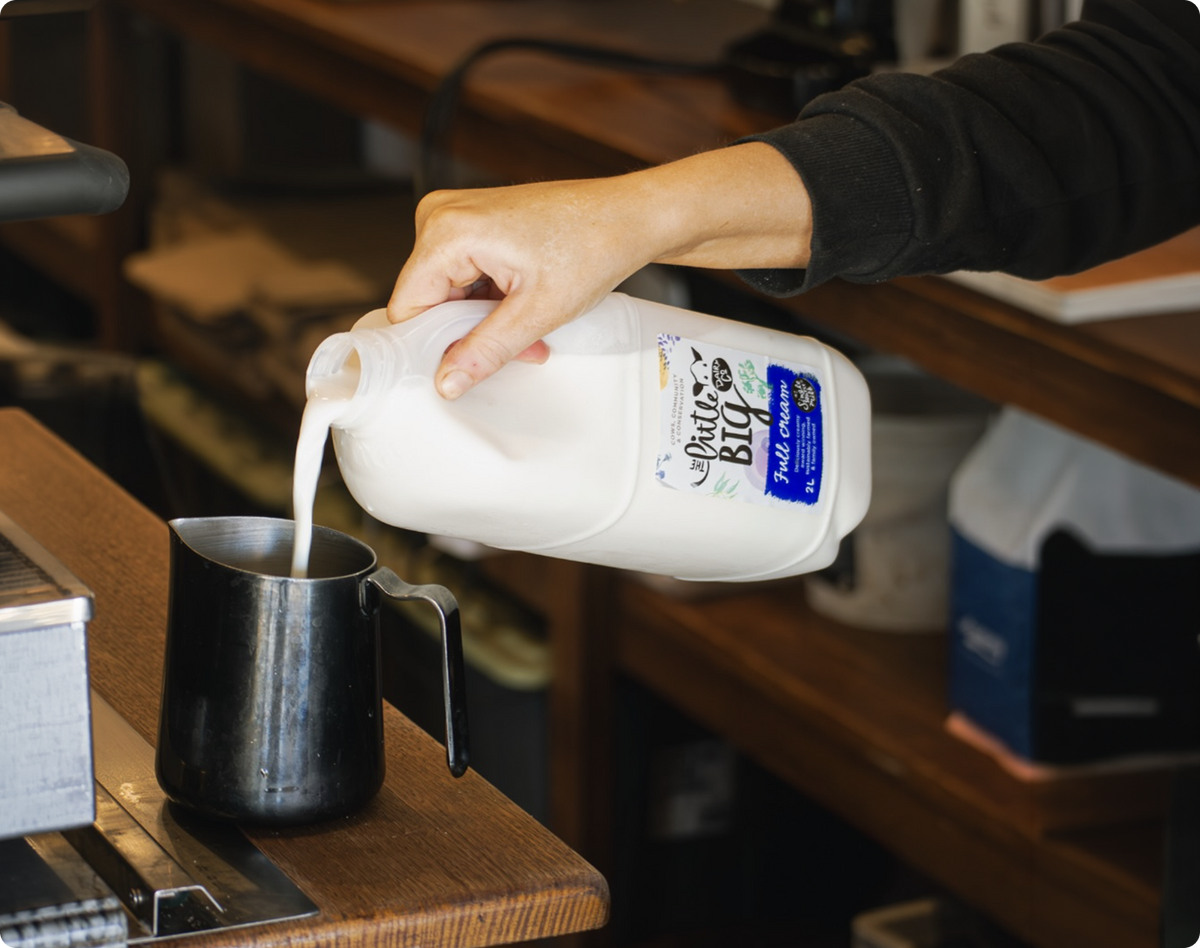 A person pouring milk from a plastic jug labeled 'Little Big Dairy Co. Full Cream' into a black metal pitcher on a wooden counter in a kitchen or cafe setting.
