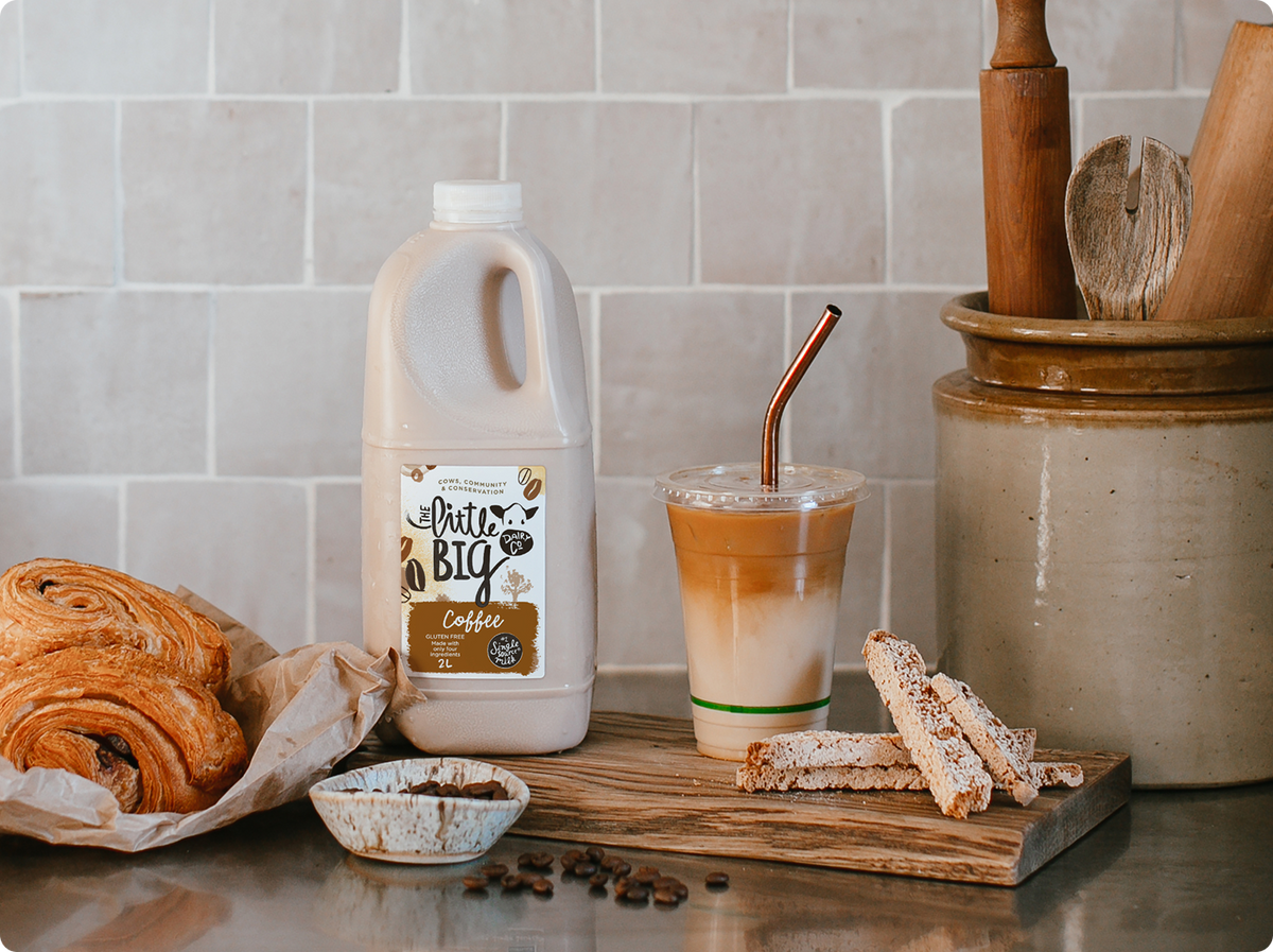Little Big Dairy Coffee Milk 2L on bench with pastries and coffee