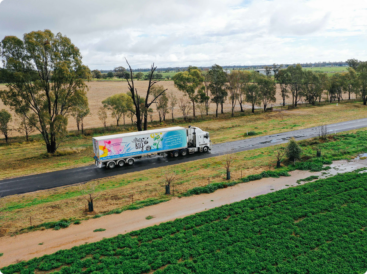 A white semi-truck with a colourful printed trailer drives along a rural road bordered by green fields, trees, and a dirt path under a cloudy sky.